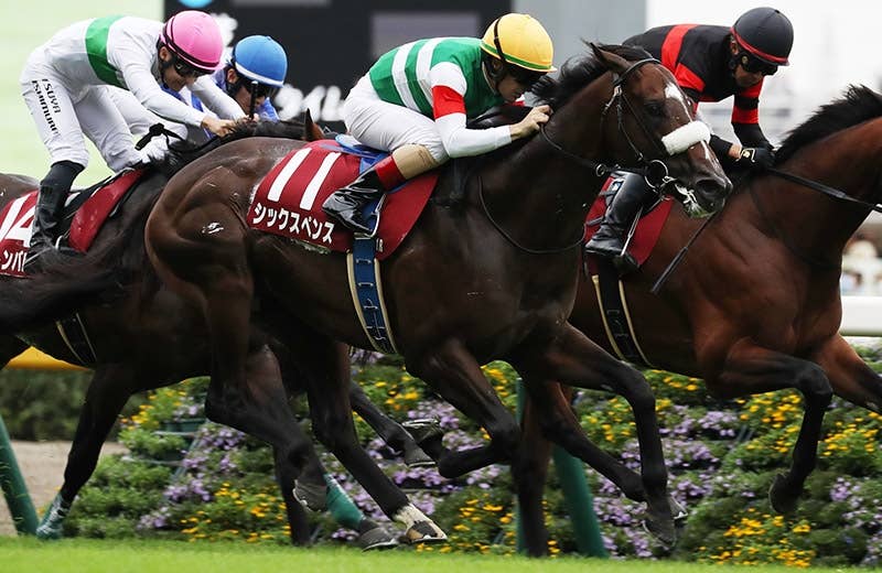 絆✨シックスペンス✨絆【メイクデビューからクラシック軌跡】 シックスペンス（Sixpence） | 競馬データベース | JRA-VAN