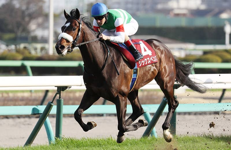 絆✨シックスペンス✨絆【メイクデビューからクラシック軌跡】 シックスペンス(Sixpence) | 競馬データベース | JRA-VAN