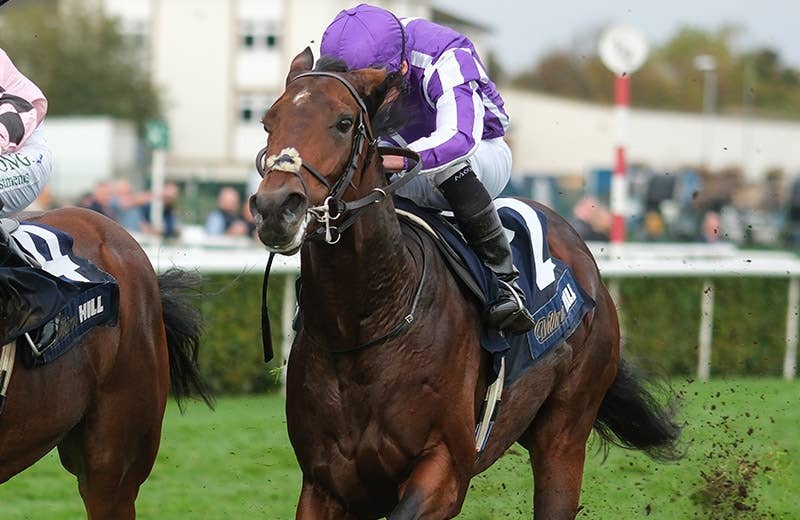 ドラクロワ（Delacroix） | 競馬データベース | JRA-VAN World - 海外