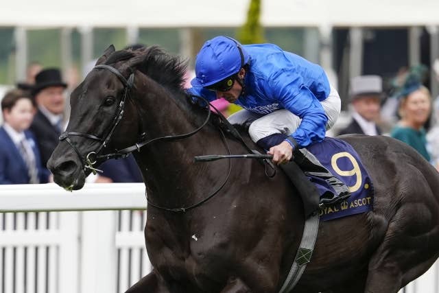 レベルスロマンスが英G2ハードウィックSを快勝、ゴドルフィンで最多