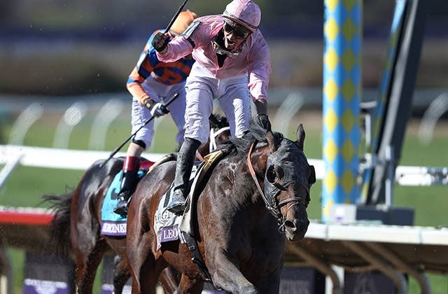 フォーエバーヤング（Forever Young） | 競馬データベース | JRA