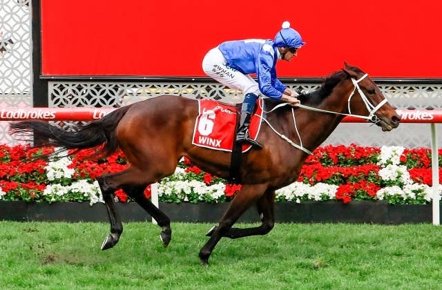 ウィンクスとブラックキャビア、豪州競馬殿堂の「レジェンド」に昇格