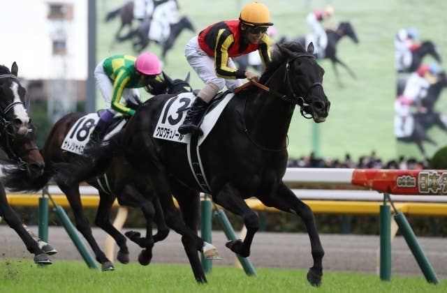 クロワデュノールが凱旋門賞へ、鞍上は北村友一騎手の予定 サンデー