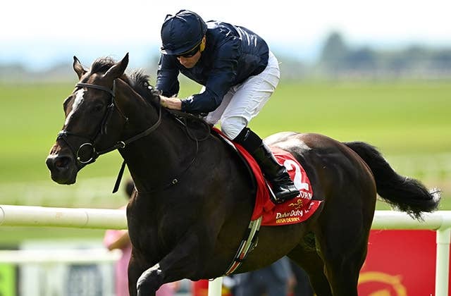 ガリレオ（Galileo） | 競馬データベース | JRA-VAN World - 海外競馬