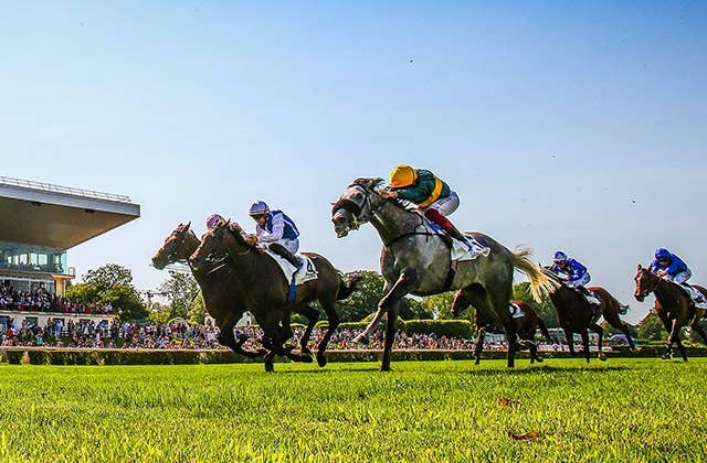 良血馬ダリズが無傷の4連勝、仏G2ウジェーヌアダム賞を制す | JRA-VAN