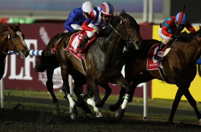 トルコから種牡馬ヴィクトワールピサの近影届く「すべての日本の