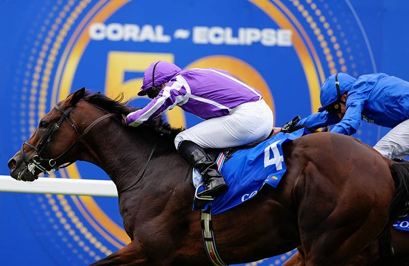 ドラクロワ（Delacroix） | 競馬データベース | JRA-VAN World - 海外
