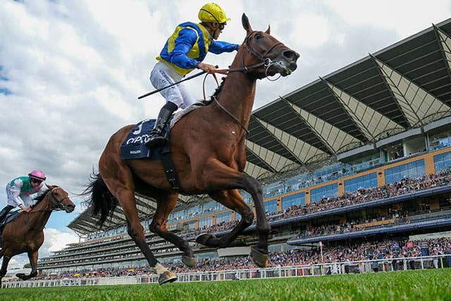 ハーツクライ　キングジョージ　現地アスコット購入馬券　激レア ゴリアットはキングジョージ連覇を断念か、8月にアメリカ遠征の可能性