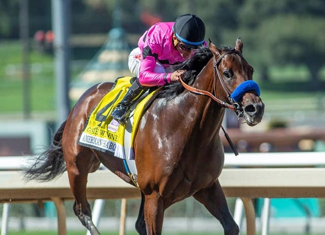 ゲームウィナーがシャトル種牡馬でブラジルへ、初年度産駒からG1馬輩出