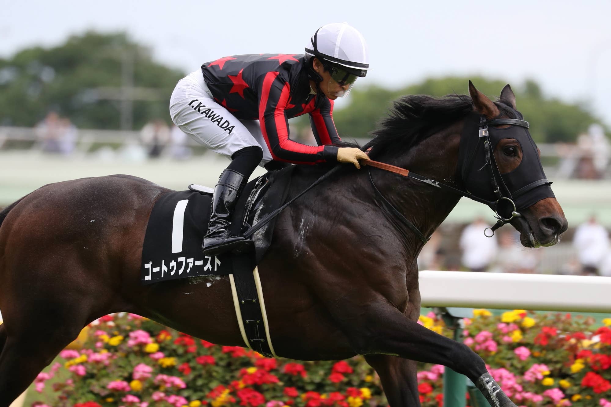 洋書 フランス語 馬 販売情報 Deauville 競馬 ドーヴィル 2002 2025ジャックルマロワ賞 | JRA-VAN World - 海外競馬情報サイト