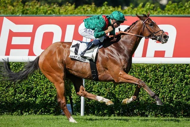 カランダガン（Calandagan） | 競馬データベース | JRA-VAN