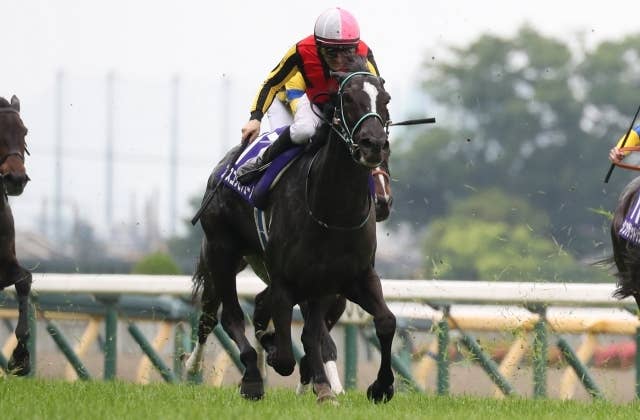 洋書 フランス語 馬 販売情報 Deauville 競馬 ドーヴィル 2002 6892c31b-443c-428d-9727-