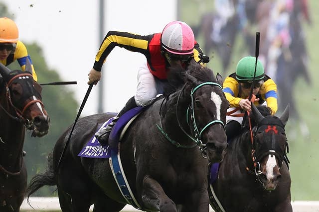 洋書 フランス語 馬 販売情報 Deauville 競馬 ドーヴィル 2002 洋書 フランス語 馬 販売情報 Deauville 競馬 ドーヴィル 2002