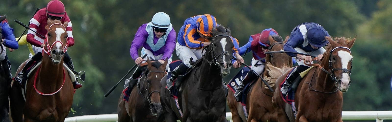 モンジュー　海外馬馬券38枚 モンジュー 海外馬馬券38枚 コレクション