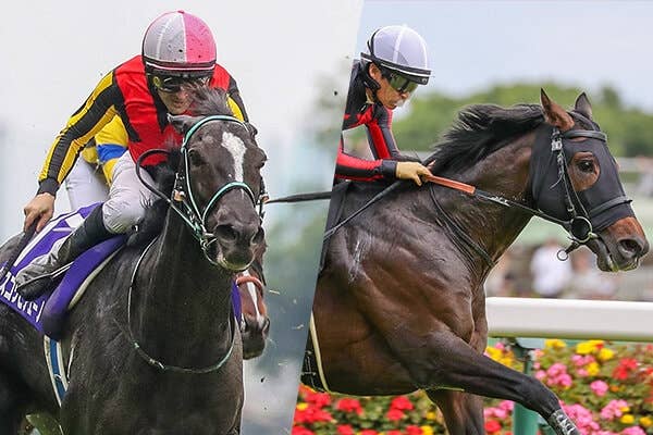 チャーリンまま チャリン (競走馬) - Wikipedia