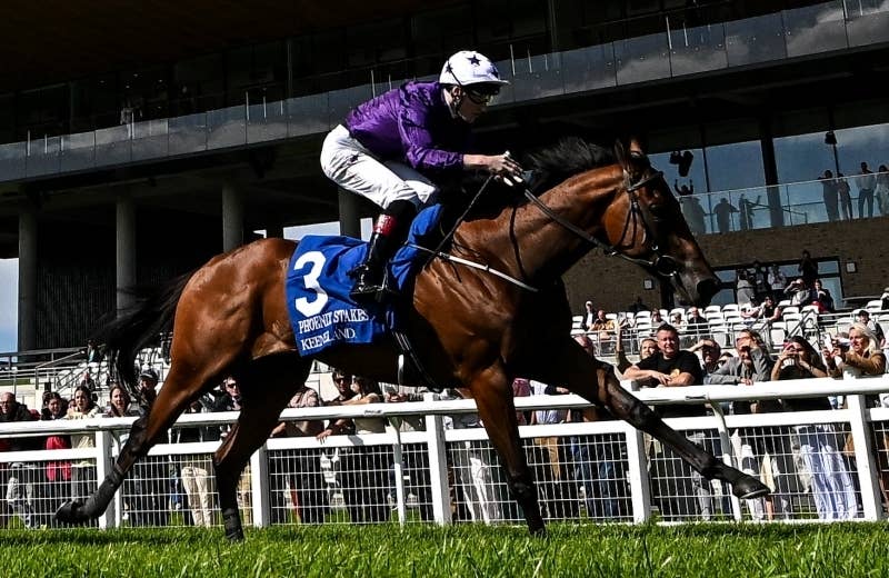 パワーブルー（Power Blue） | 競馬データベース | JRA-VAN World