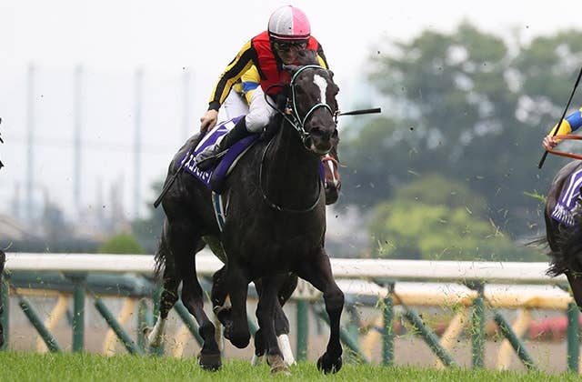 JRAポスター アスコリピチェーノ フランスギャロがアスコリピチェーノらに注目、ジャックルマロワ
