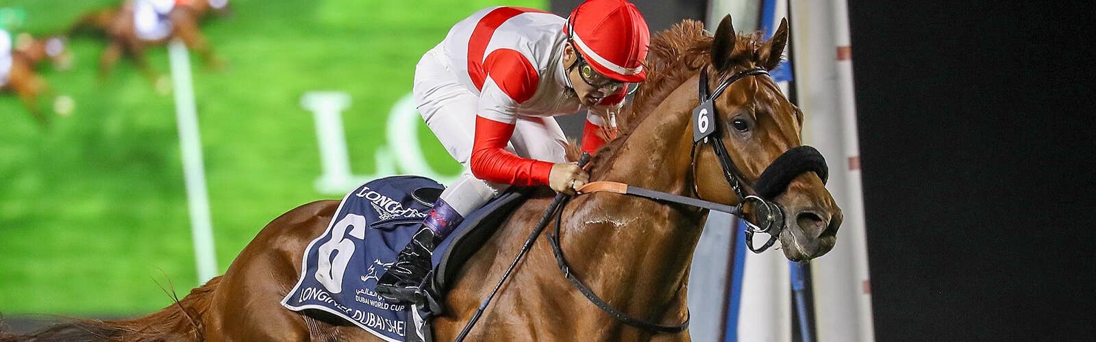 JRA-VAN World - 海外競馬情報サイト