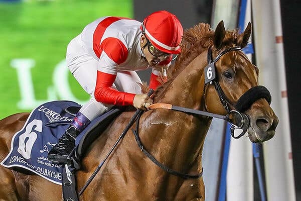 JRAポスター アスコリピチェーノ Yahoo!オークション -「jraポスター」(その他) (競馬)の落札相場