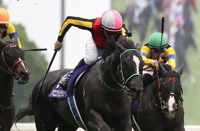 JRAポスター アスコリピチェーノ Yahoo!オークション -「jraポスター」(その他) (競馬)の落札相場