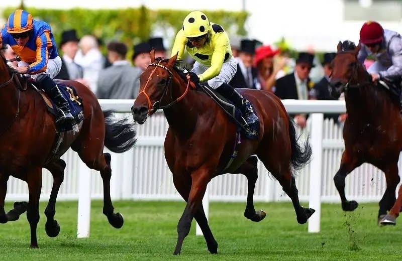 ジャックルマロワ賞・展開予想】 ドーヴィル直線マイルで主導権争いは