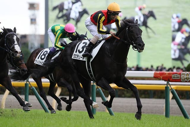 クロワデュノールが仏遠征へダービー後初の併せ馬で10秒8、斉藤崇師