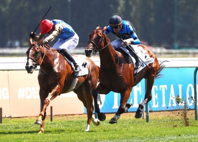 ファーストルックが仏G3ゴントービロン賞で重賞初制覇、ゴリアットは