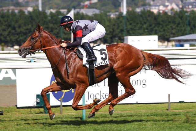 馬券　シンエンペラー　11種 シンエンペラー（Shin Emperor） | 競馬データベース | JRA-VAN
