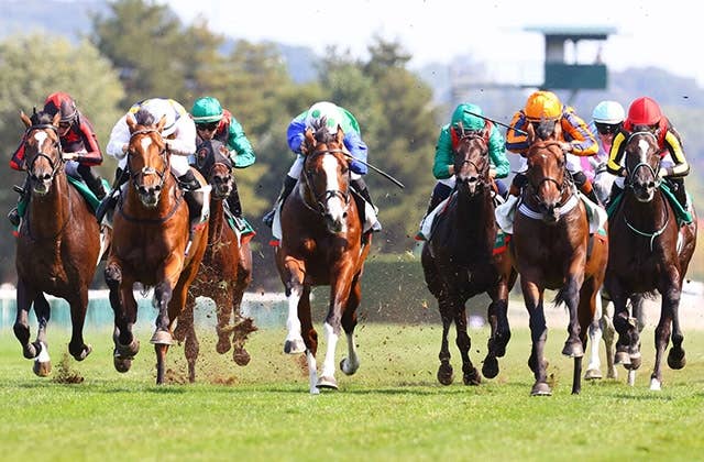 ジャックルマロワ賞】前後半5秒差“超スローから究極の上がり勝負