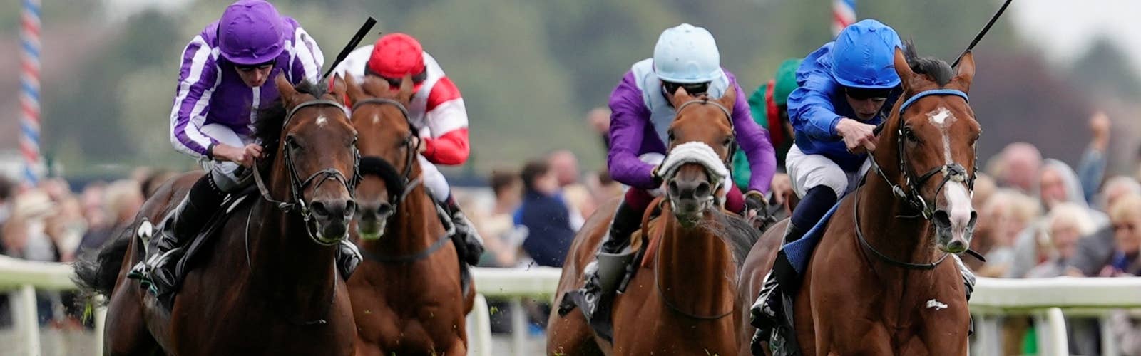 JRA-VAN World - 海外競馬情報サイト