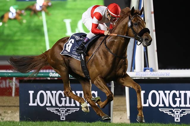 ダノンデサイル（Danon Decile） | 競馬データベース | JRA-VAN