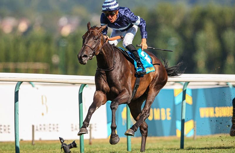 出走馬情報 | 2025凱旋門賞 | JRA-VAN World - 海外競馬情報サイト