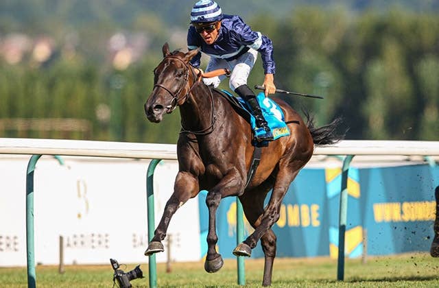凱旋門賞の歴史 全３巻 ダービー 発行 競馬国際交流協会 4冊セット＋おまけ 世界最高峰のレース「凱旋門賞」に出走する日本馬にエールを送