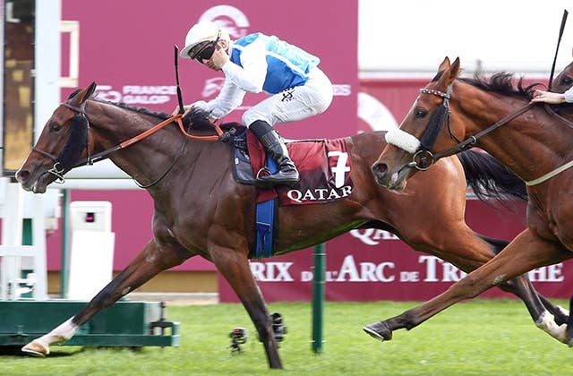 ダイワメジャー産駒ダブルメジャー、仏G2ケルゴルレイ賞を連覇 | JRA