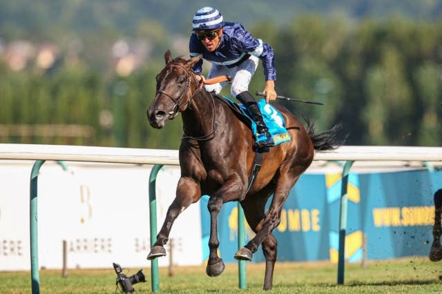 ジャンロマネ賞制覇のキジサナ、ワイルドカードで凱旋門賞出走へ | JRA