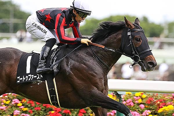 モズカッチャン（Mozu Katchan） | 競馬データベース | JRA-VAN