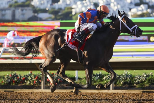 フィアースネスが米G1パシフィッククラシックを完勝、ジャーナリズムを