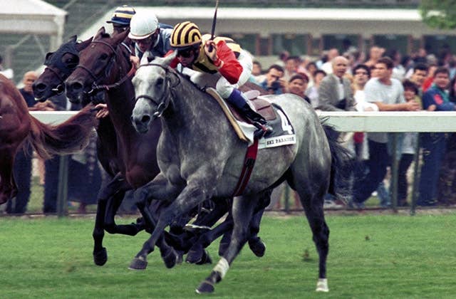 フランス競馬百年史　ギイ.チボー著　貴重 フランス競馬百年史 - 《蓑虫屋》 競馬専門古書店