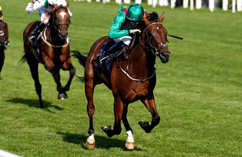 ザーラン（Zahrann） | 競馬データベース | JRA-VAN World - 海外競馬