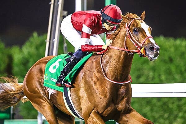 ドイツ競馬のムチ使用ルール、2023年は世界有数の厳格運用に