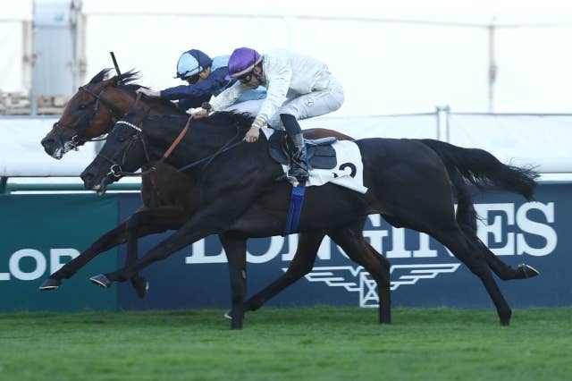 競馬ファンの方、海外レース、優勝馬 海外競馬 - UMATOKU | 馬トク