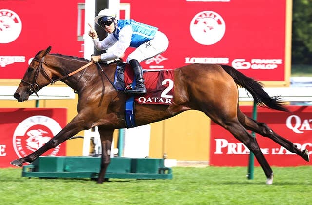 競馬ファンの方、海外レース、優勝馬 クラスターC】レース予想 - サンスポZBAT!