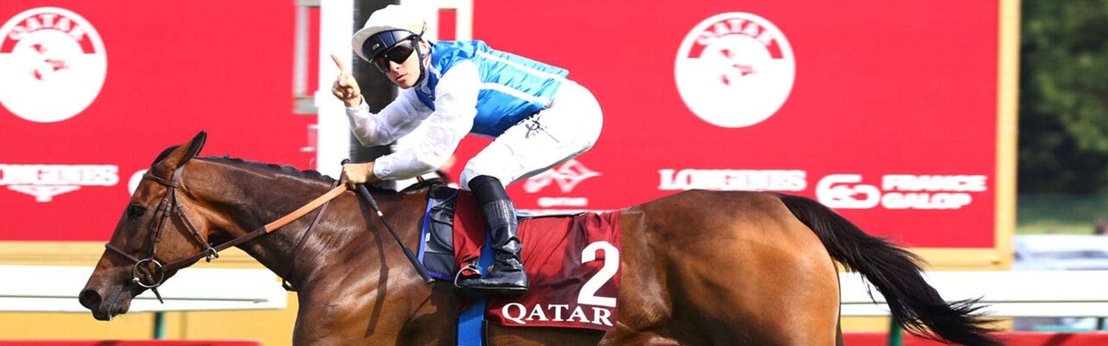 アヴァンチュール<br>ヴェルメイユ賞で待望のG1初勝利