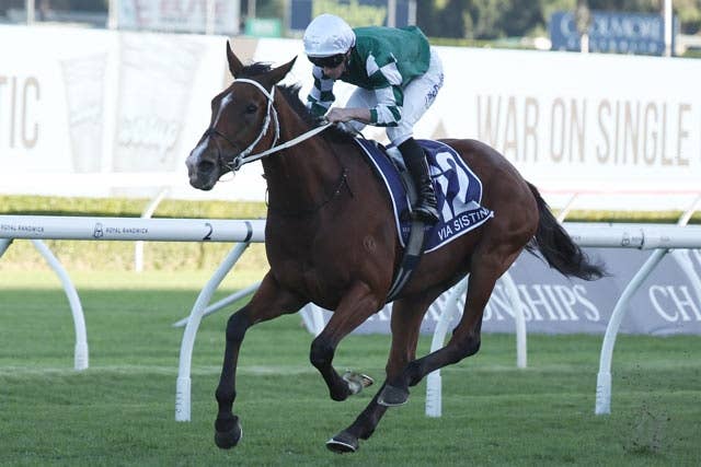 豪州年度代表馬にヴィアシスティーナ、昨シーズンはG1レース7勝の歴史