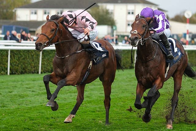 競馬ファンの方、海外レース、優勝馬 愛チャンピオンS】素質馬ホタツェルの参戦が決定！2歳時にドラクロワを