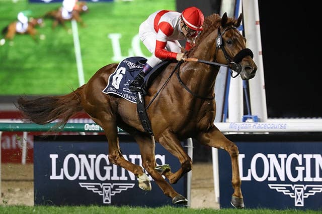 ダノンデサイル（Danon Decile） | 競馬データベース | JRA-VAN World