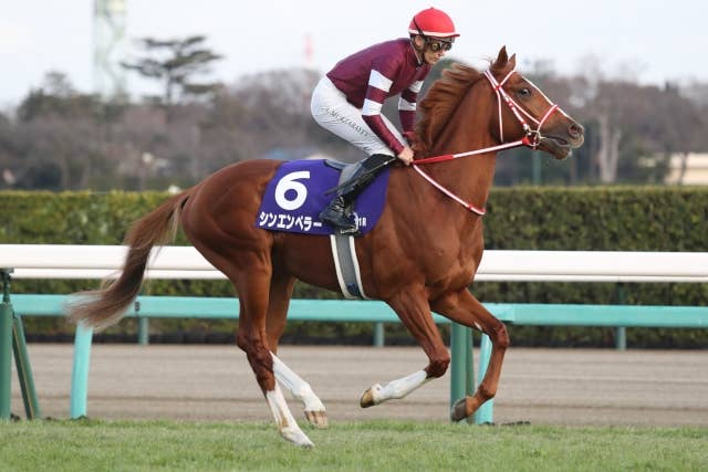 2年連続で愛チャンピオンS参戦のシンエンペラー、「選択肢はある」と