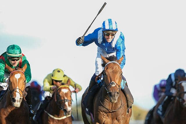 競馬ファンの方、海外レース、優勝馬 愛チャンピオンS】「危険な人気馬」創設以来7歳馬の勝利はゼロ！現在は