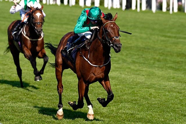 愛チャンピオンS】血統から浮上するのはこの馬だ「昨年覇者と同じ種