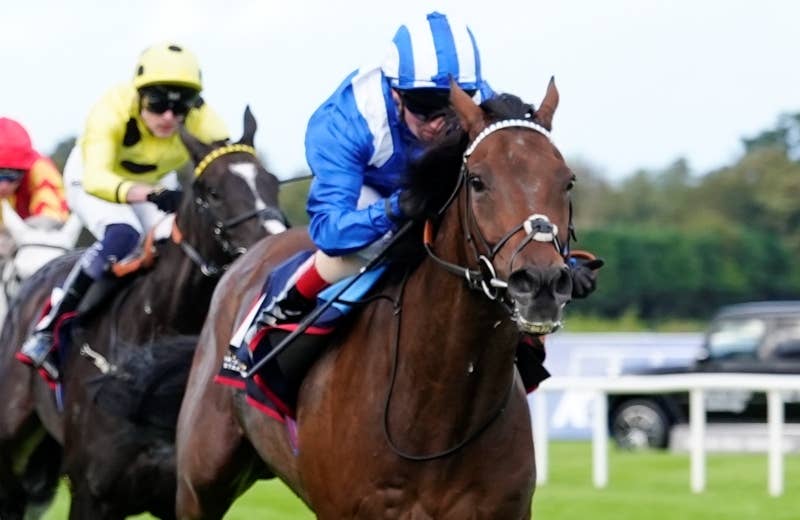 競馬ファンの方、海外レース、優勝馬 アンマート（Anmaat） | 競馬データベース | JRA-VAN World